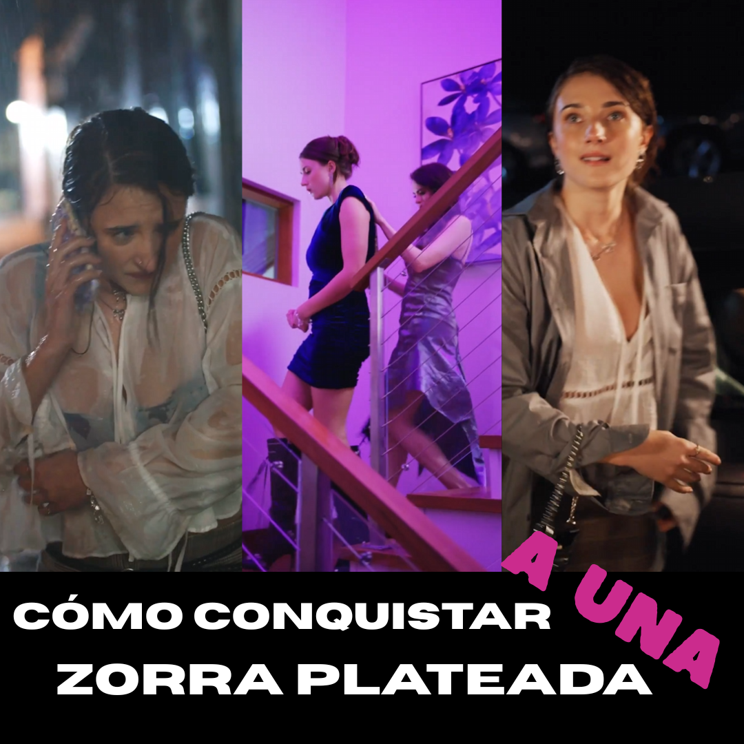 Cómo Conquistar a una Zorra Plateada