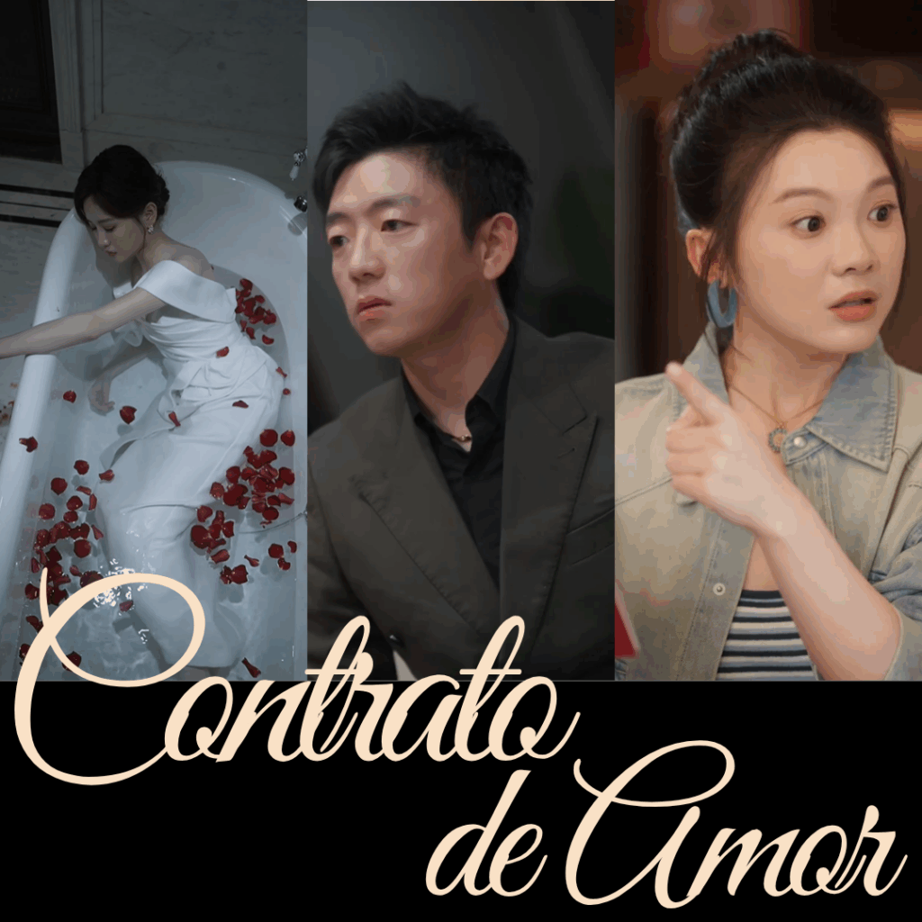 Contrato de Amor